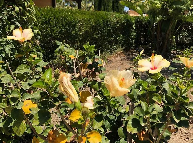 Corte Della Jbsa Villaggio Mosè